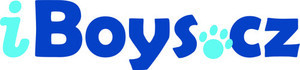 iBoys logo