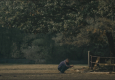 The Fence